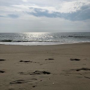 Meet your Posher, Isabella